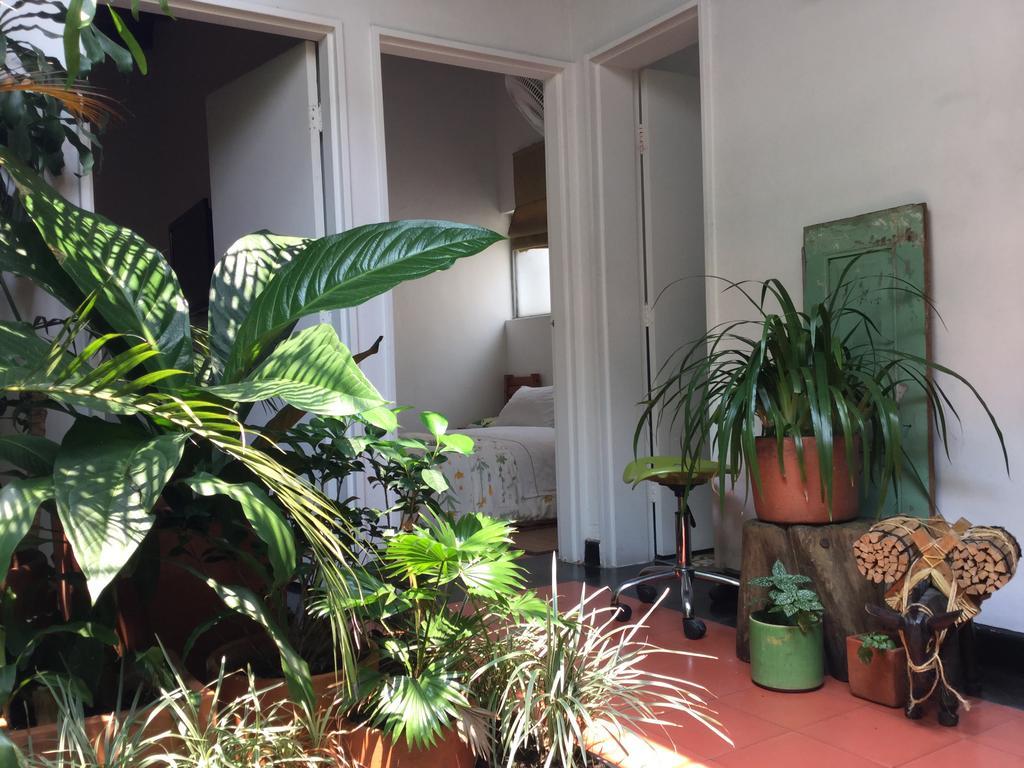 Saman Hostel Medellin Luaran gambar