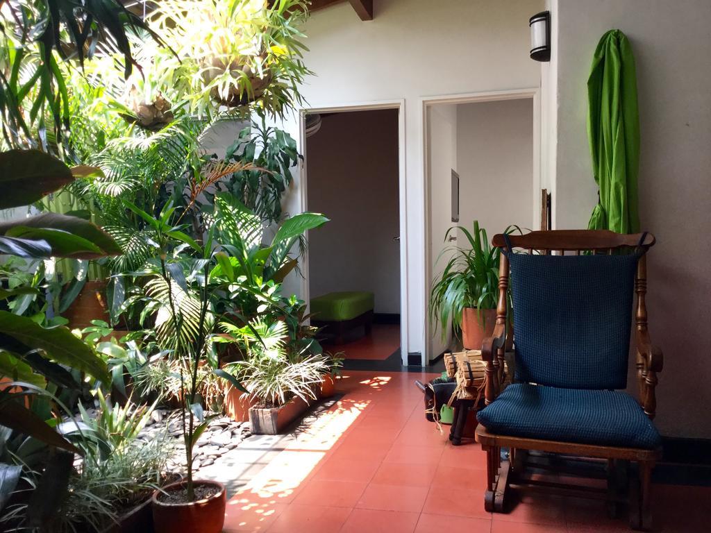Saman Hostel Medellin Luaran gambar