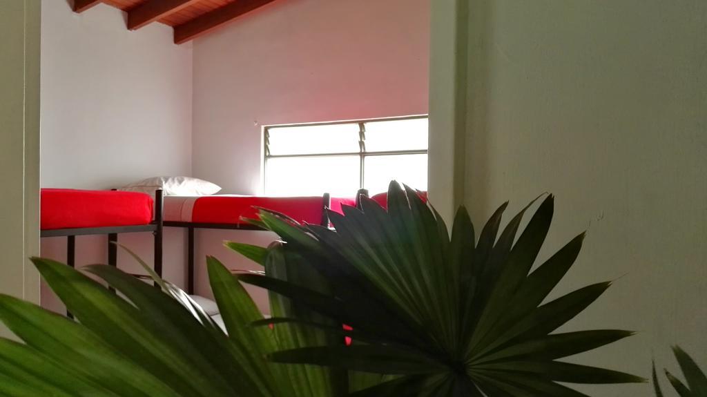 Saman Hostel Medellin Luaran gambar