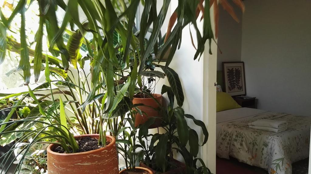 Saman Hostel Medellin Luaran gambar