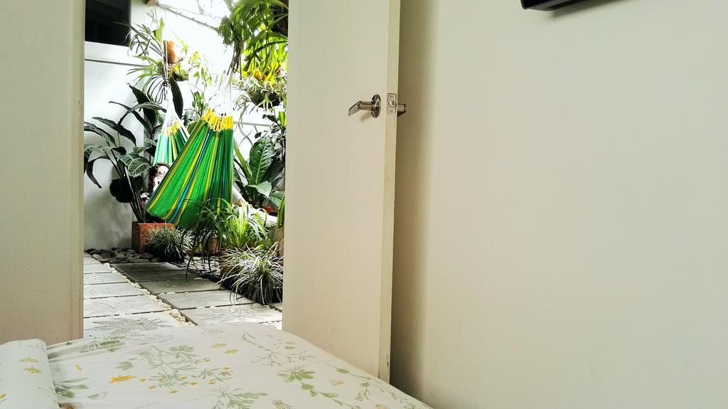 Saman Hostel Medellin Luaran gambar
