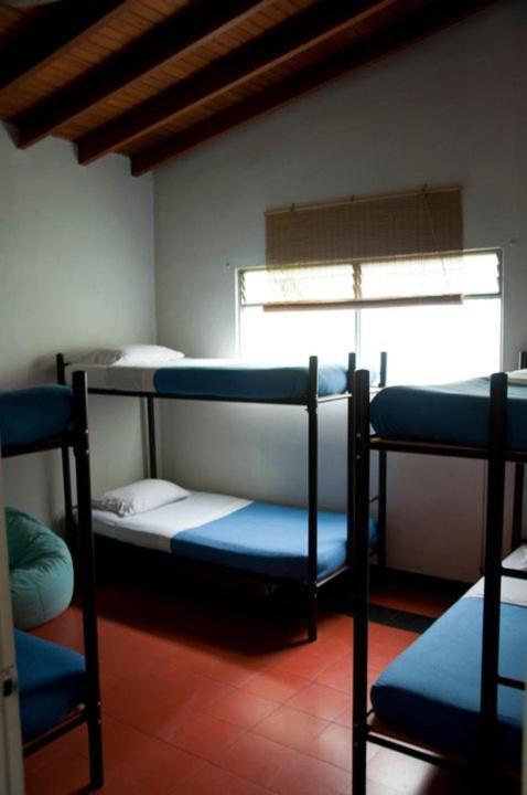 Saman Hostel Medellin Luaran gambar